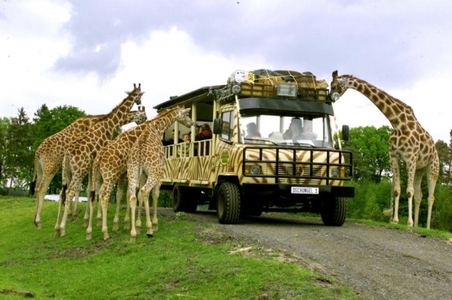 Afrika liegt direkt vor der Haustür! Afrika liegt direkt vor der Haustür!