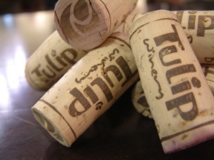 Jung, dynamisch und erfolgreich: Israels Boutique Wineries auf der ProWein 2011 Jung, dynamisch und erfolgreich: Israels Boutique Wineries auf der ProWein 2011