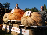Die drei schwersten Kürbisse Deutschlands 2007 Die drei schwersten Kürbisse Deutschlands 2007