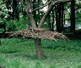 LandArt - Kunstobjekte aus Holz LandArt - Kunstobjekte aus Holz