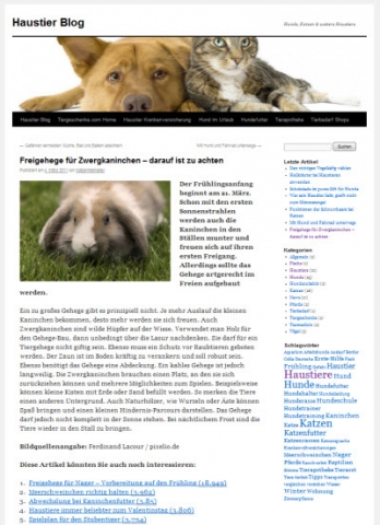 Haustier-Blog: nützliche Tipps für Tierbesitzer Haustier-Blog: nützliche Tipps für Tierbesitzer
