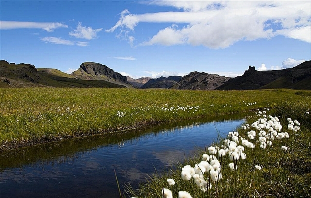 Island - Atemberaubende Natur und landschaftliche Vielfalt beim Reisen Island - Atemberaubende Natur und landschaftliche Vielfalt beim Reisen