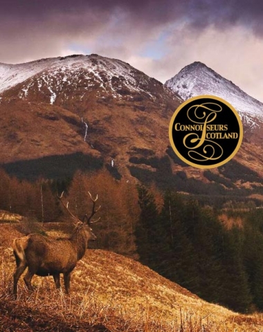Schottland: Luxushotelmarketinggruppe