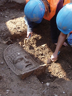 Der Frankenfürst im Acker Der Frankenfürst im Acker