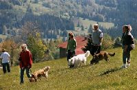 Urlaub mit Hund in Bayern
