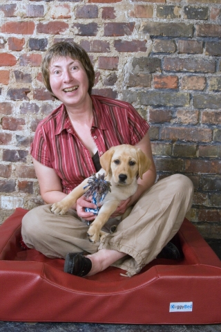Interessantesüber Hundekissen und Hundekörbe