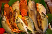 Omega-3-Fettsäure als Marker für Herzerkrankungen Omega-3-Fettsäure als Marker für Herzerkrankungen