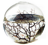 Hauptpreis: Ecosphere Kugel Hauptpreis: Ecosphere Kugel
