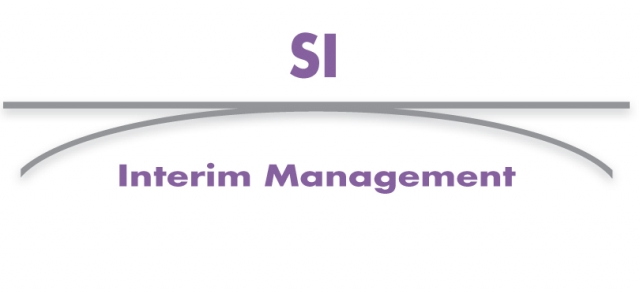 Internationales Interim Management am Beispiel der BRIC-Staaten Internationales Interim Management am Beispiel der BRIC-Staaten