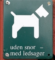 Ferienhaus mit dem Hund - Urlaub im hundefreundlichen Dänemark