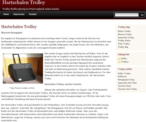 Interessante Tipps bei Hartschalen Trolley Auswahl