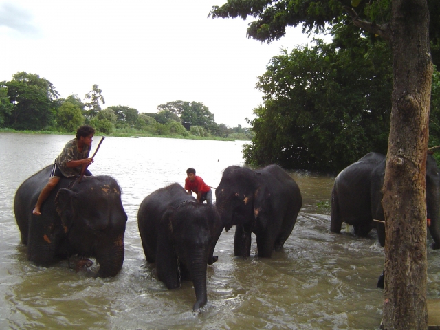 Thailand -Überland von Bangkok nach Chiang Mai
