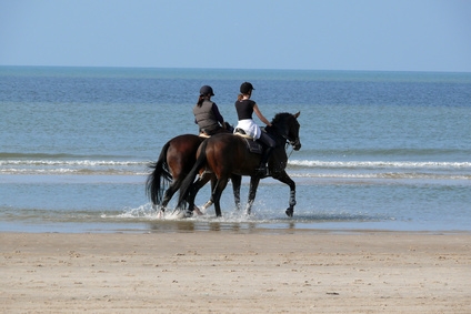 Im Strandsand sind die Pferde los