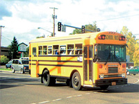Schulbus USA