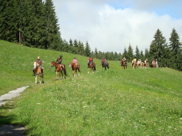 Pieks mich mal: In der Wildschönauübernachten Reiter im Heustadel auf der Alm Pieks mich mal: In der Wildschönauübernachten Reiter im Heustadel auf der Alm