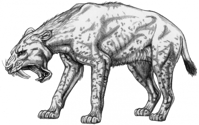 Exotische Tierwelt am Ur-Rhein vor zehn Millionen Jahren Exotische Tierwelt am Ur-Rhein vor zehn Millionen Jahren