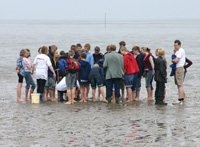  „Blaues Klassenzimmer”: Schulunterricht am Strand von Cuxhaven