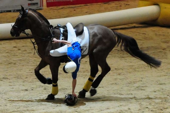 Horseball