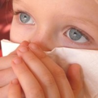 Immunstimulierende Mikronährstoffe können vor drohenden Erkältungen schützen. Immunstimulierende Mikronährstoffe können vor drohenden Erkältungen schützen.