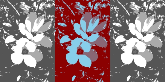 Pop Art für das Wartezimmer von r23.de