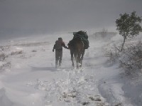 Anita, Pascal und die Tiere versuchen, jedem Wetter zu trotzen – mit Erfolg.