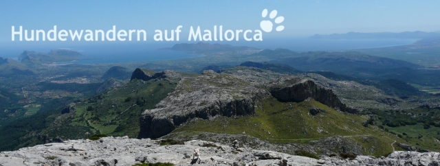 Hundewandern auf Mallorca