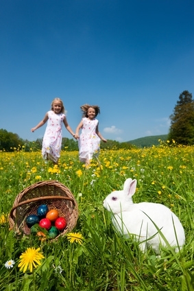 Zu Ostern bunte Kindermode von Pacino verschenken Zu Ostern bunte Kindermode von Pacino verschenken
