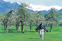 Golf in Lana bei Meran Golf in Lana bei Meran