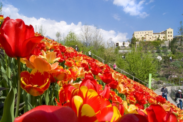 Im Feriendomizil der Kaiserin Sissi: Eine botanische Unterwelt Im Feriendomizil der Kaiserin Sissi: Eine botanische Unterwelt