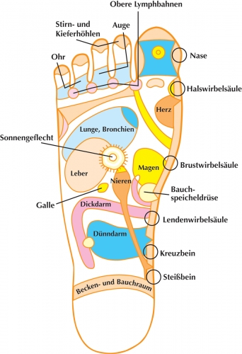 Was verraten die Füßeüber die Persönlichkeit eines Menschen? Was verraten die Füßeüber die Persönlichkeit eines Menschen?