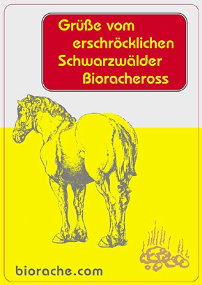 Plagiatoren-Wettbewerb mit Pferdeäpfelpreis. Wer ist der Lieblingsplagiator - Veronica Saß, Silvana 
