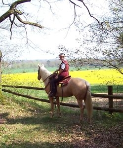 Ausreittip auf www.mit-Pferden-reisen.de: Granderheide - Lütjensee in Schleswig-Holstein Ausreittip auf www.mit-Pferden-reisen.de: Granderheide - Lütjensee in Schleswig-Holstein