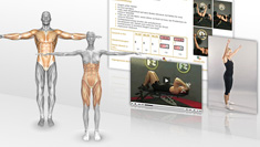 Trainingsplan vom Online Trainer für Abnehmen und Muskelaufbau Trainingsplan vom Online Trainer für Abnehmen und Muskelaufbau
