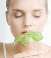 Gesund und schön durch Ayurveda Gesund und schön durch Ayurveda