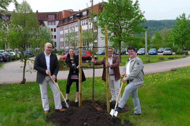 BAUR pflanzt den Baum des Jahres 2011 in Weismain BAUR pflanzt den Baum des Jahres 2011 in Weismain