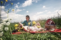 Picknick im Grünen 