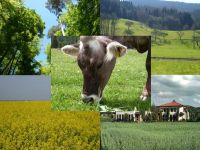 Die Leitmission ist die Erzeugung von erneuerbarer Energie aus nachhaltiger Wirtschaft
