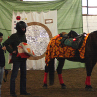 Ob man als Reitanfänger wirklich mit Motoradhelm und gepolstert mit Kissen auf den Pferderücken muss