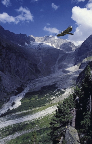 Den Alpen sanft-mobil auf der Spur Den Alpen sanft-mobil auf der Spur