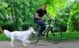 Für eine entspannte Radtour mit Hund rät die AGILA Haustierversicherung AG gewissenhaft zu trainiere