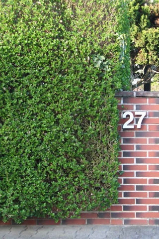Lebensretter im Notfall: gut sichtbare Hausnummern Lebensretter im Notfall: gut sichtbare Hausnummern