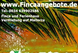 www.Fincaangebote.de