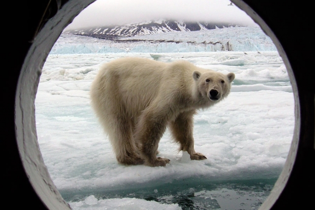 Polar-Kreuzfahrten auf der Hans-Bird 2011