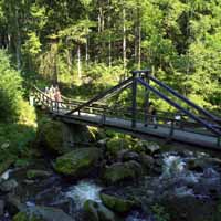 Wanderwald - Frankenwald Wanderwald - Frankenwald
