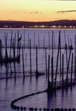 Albufera - Sonnenuntergang 