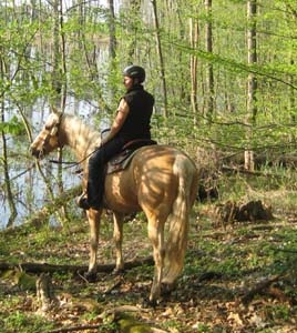 Pferderecht auf www.Rechtsanwalt-Jessen.de: Urlaub mit dem eigenen Pferd Pferderecht auf www.Rechtsanwalt-Jessen.de: Urlaub mit dem eigenen Pferd