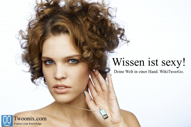 Die Wiki-Welt auf einem Stick