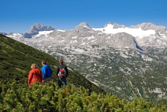 Wiener Wald und Wachau, Waller- und Wolfgangsee Wiener Wald und Wachau, Waller- und Wolfgangsee