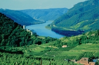 Blick in die Wachau 