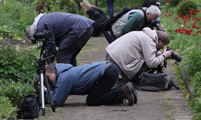 Rhön mit allen Sinnen: Malen-Fotografie-Musik-Wandern auf BURG FÜRSTENECK Rhön mit allen Sinnen: Malen-Fotografie-Musik-Wandern auf BURG FÜRSTENECK